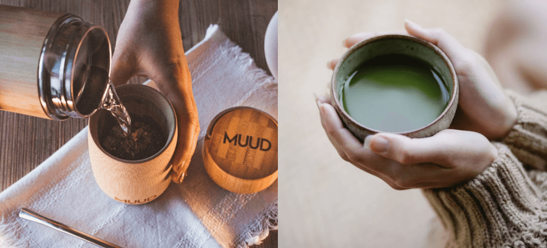 mate vs matcha
